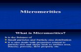 Micromeritics-2008 (1)