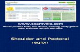 Shoulder and Pectoral