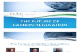 Carbon Regulation 071310