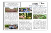 September-October 2009 Sandpiper Newsletter Grays Harbor Audubon Society