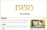 About Project DOG