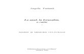 LA ANUL, LA IERUSALIM, O CARTE - Vol. I, de ANGELA FURTUNA