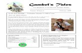 February 2009 Gambel's Tales Newsletter Sonoran Audubon Society