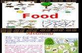 Final Food Web