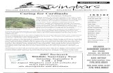 September 2007 Wingbars Newsletter Atlanta Audubon Society