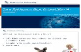 Two Options – One Virtual World (EDiNEB 2010)