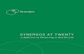 Synergos at Twenty: A Reflection on Partnering to End Poverty