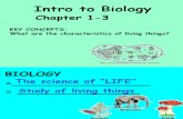 Charac of LT (2) Biology