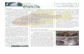 April 2007 Along the Boardwalk Newsletter Corkscrew Swamp Sanctuary