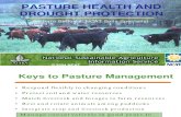 Pasture Health and Drought Protection