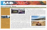 2008 V 3 Monterey Bay Plein Air Painters Association Newsletter