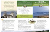 Hearst San Simeon State Park Brochure