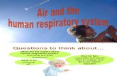 Systems - Air & the Human Respiratory System
