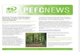PEFC Newsletter 46 June 2010