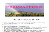 Photosynthesis Lect 1