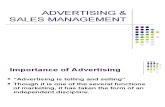 17616752 Advertising Sales Management
