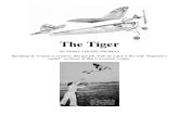 Tiger - A Free-Flight Model Airplane (Fuel Engine) (Convert to R/C?)
