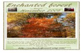 November 2009 Enchanted Forest Magazine