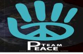 Team Peace Proposal