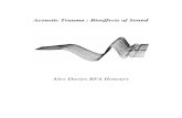 Acoustic Trauma - Bioeffects of Sound