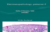 Dermatopathology patterns-5