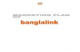 17156475 Marketing Plan of Bang La Link