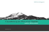 Opalesque New Zealand Roundtable