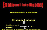 Emotional Intelligence the Issue