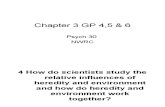 Chapter 3 GP 4,5 & 6