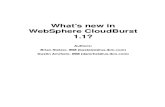 What's new in WebSphere CloudBurst 1.1?