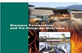 Biomass combustion & co-firing