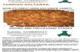 Turkish Sultanas - SAMRIOGLU Hazelnuts and Dried Fruits Export