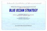 Blue Ocean Strategy Project Report