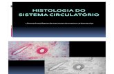 Histologia Do Sistema Cardiovascular
