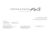 Operation Fly Strategic Plan