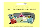 Introductory Guide to Consultation - CO England - 2003