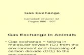 Gas Exchange O2-CO2