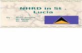 NHRD in St . Lucia2