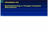 Chapter 14 Establishing a Target Capital Structure