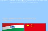cross cultural analysis of India- china