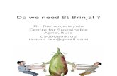 Bt Brinjal and Alternatives 2.0