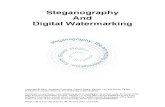 Steganography in Picture