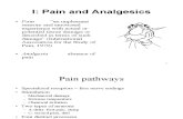 I: Pain and Analgesics