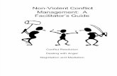Non-Violent Facilitator Guide