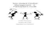 Non-Violent Participant Guide