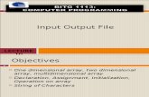 Input Output File