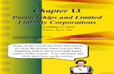 Partnerships and Limited Liability Corporations
