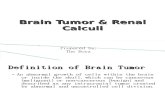Brain Tumor & Renal Calculi