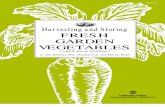 Gardening Harvesting and Storing Fresh Garden Vegetables