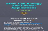 Stem Cells and Clinical Applications (2)